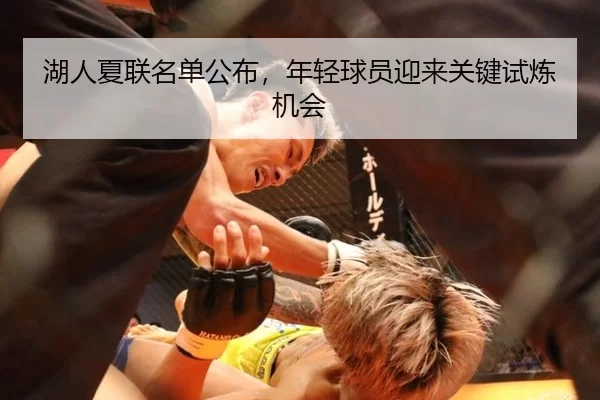 湖人夏联名单公布，年轻球员迎来关键试炼机会